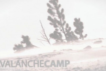 Avalanche Camp - Trailer